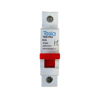 Product image thumbnail for SKU tesmaiswi1p63a