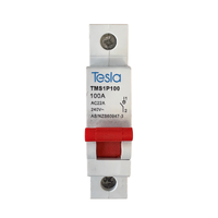 Product image thumbnail for SKU tesmaiswi1p100a