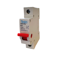 Product image thumbnail for SKU tesmaiswi1p63a