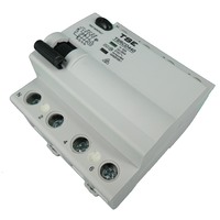 TSE 4 Pole 40 Amp Safety Switch RCD 30mA