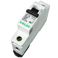 Circuit Breaker 63 Amp Single Pole 10kA Rating Goldy
