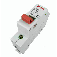 Single Pole 80 Amp Main Switch JVD2 HQE