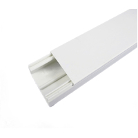 Cable Duct 60mmW x 40mmH 2 Metre Length
