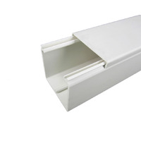 Cable Duct 60mmW x 60mmH 2 Metre Length