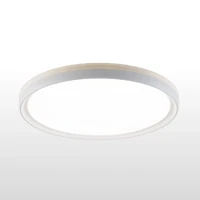 Pro-Vision PVCL-3612 36W LED Oyster Ceiling Light 3CCT White D410