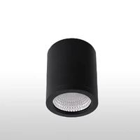 Pro-Vision PVDL-SM201B 20W Surface Mount Downlight 3CCT Black