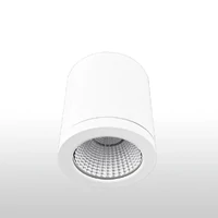 Pro-Vision PVDL-SM201W 20W Surface Mount Downlight 3CCT White