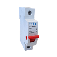 Tesla TMS1P100 Main Switch Isolator 100 Amp Single Pole 240/415V