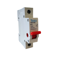 Tesla MS1P63 Main Switch Isolator 63A 1 Pole