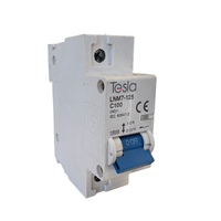 Tesla MCB1P100 Circuit Breaker 100 Amp 240V Single Pole 10kA Rating C Curve