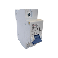 Tesla MCB1P80 Miniature Circuit Breaker 80 Amp Single Pole 10kA C Curve 240V Limitation Class 3